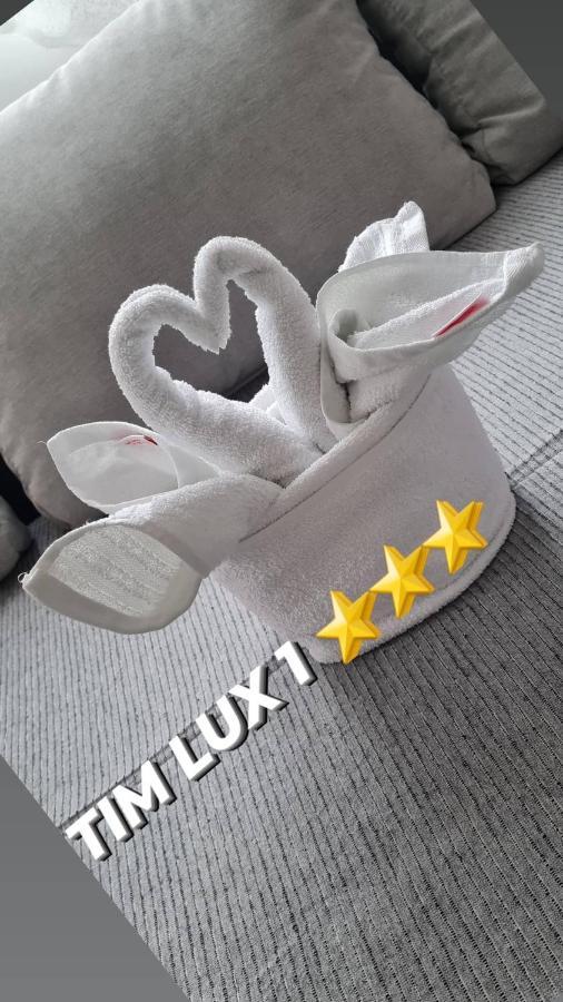 Apartman Tim Lux 1 Vrnjacka Banja Luaran gambar