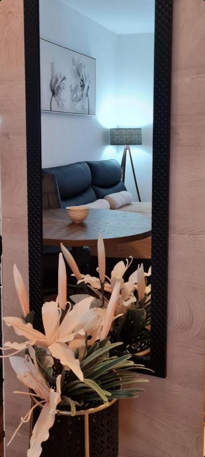 Apartman Tim Lux 1 Vrnjacka Banja Luaran gambar